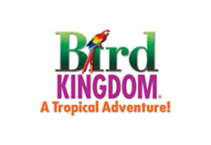 Bird Kingdom company logo
